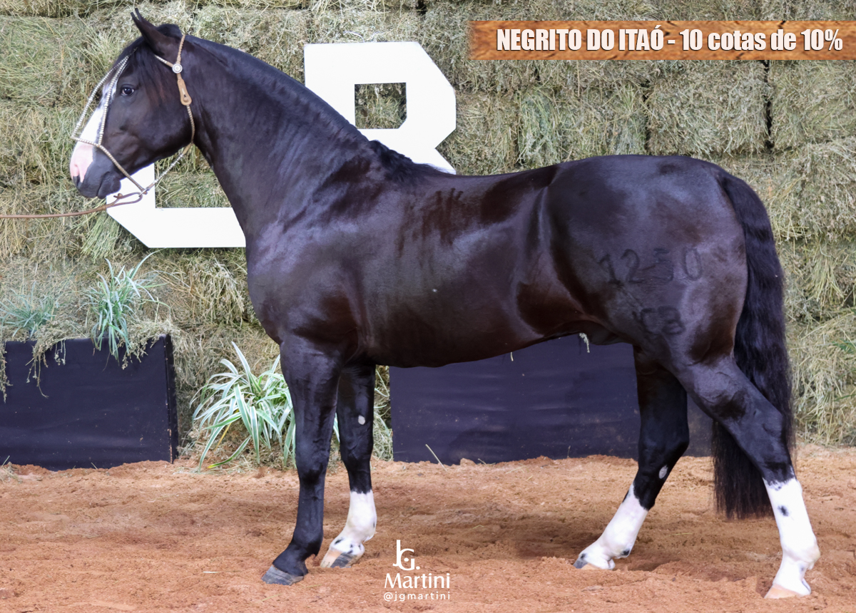 NEGRITO DO ITAÓ