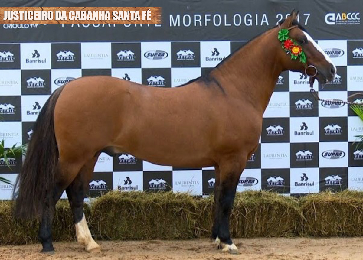 JUSTICEIRO DA CABANHA SANTA FÉ