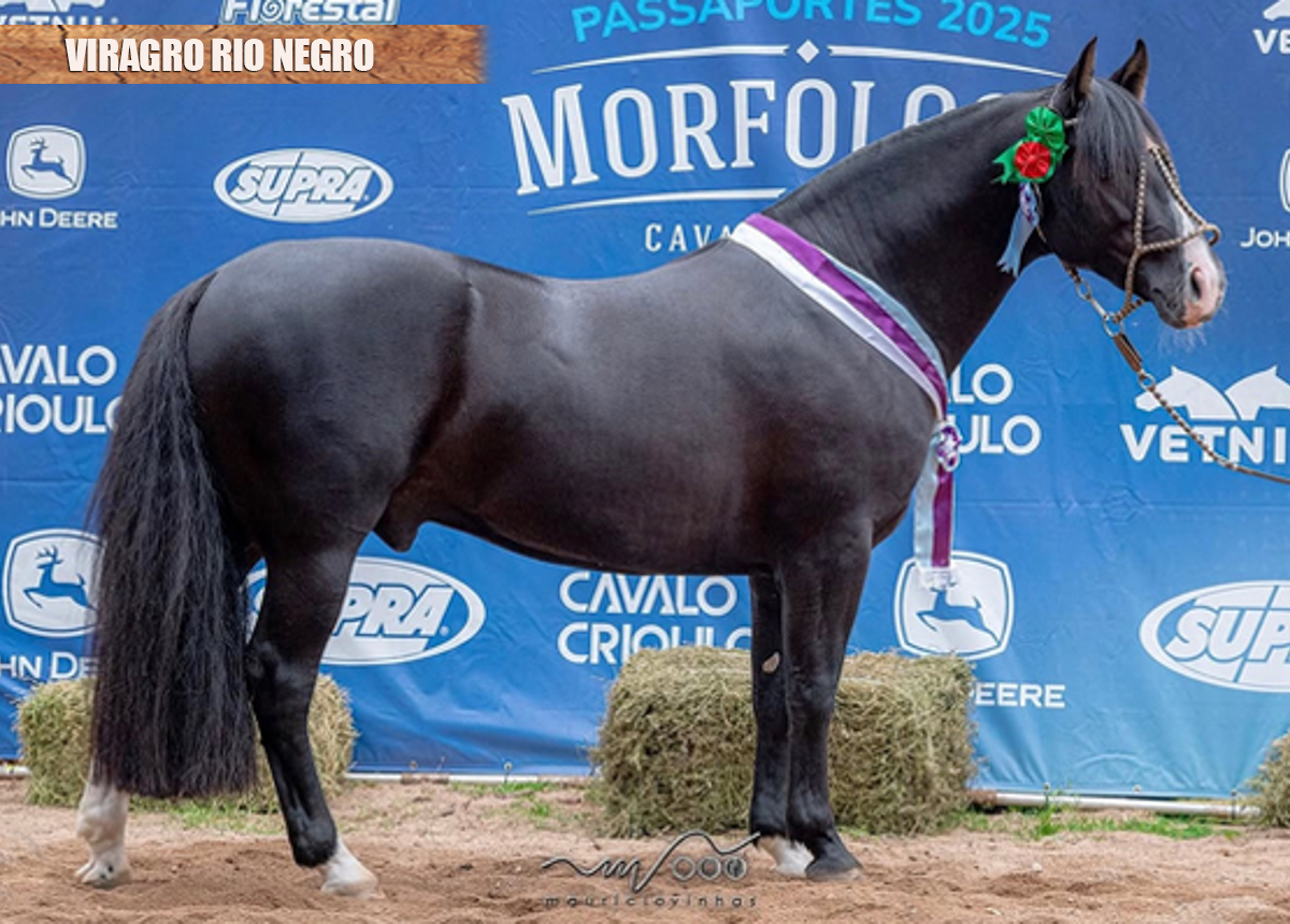 VIRAGRO RIO NEGRO