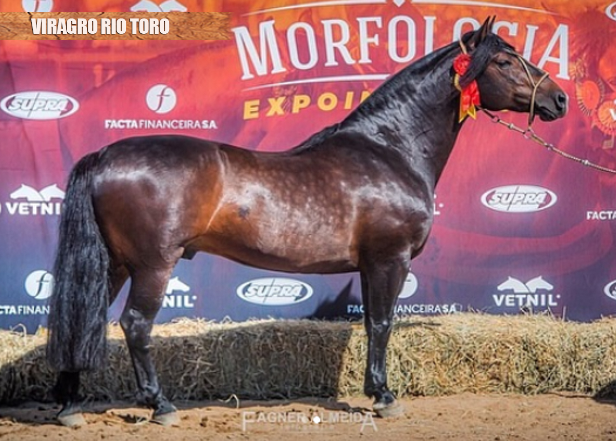 VIRAGRO RIO TORO