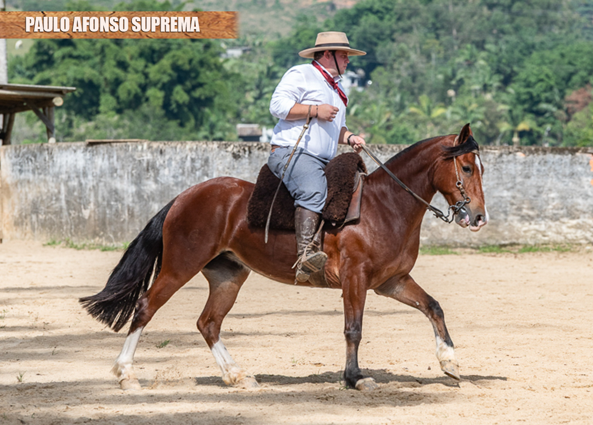 PAULO AFONSO SUPREMA