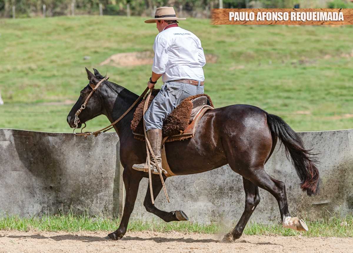 PAULO AFONSO REQUEIMADA