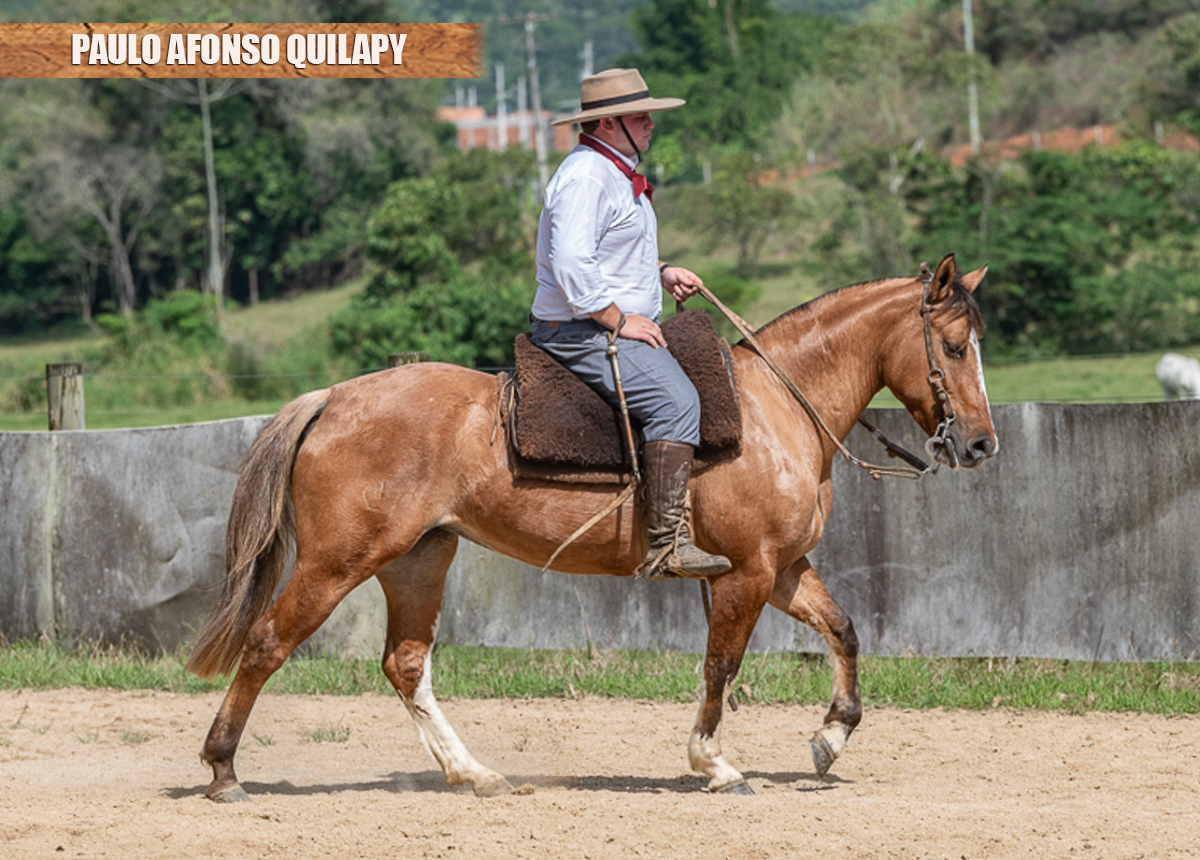 PAULO AFONSO QUILAPY
