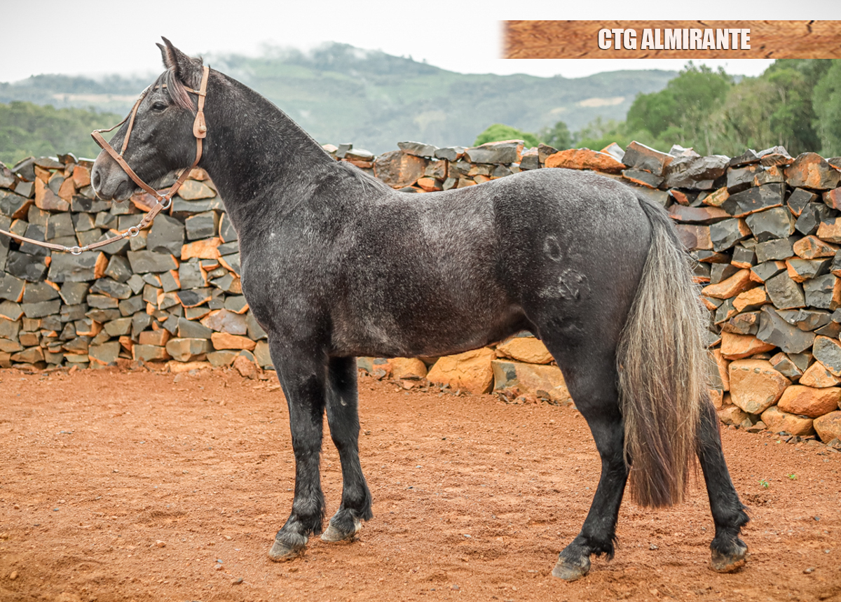 CTG ALMIRANTE