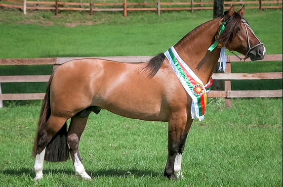 NOCHERO DA TAMANCA