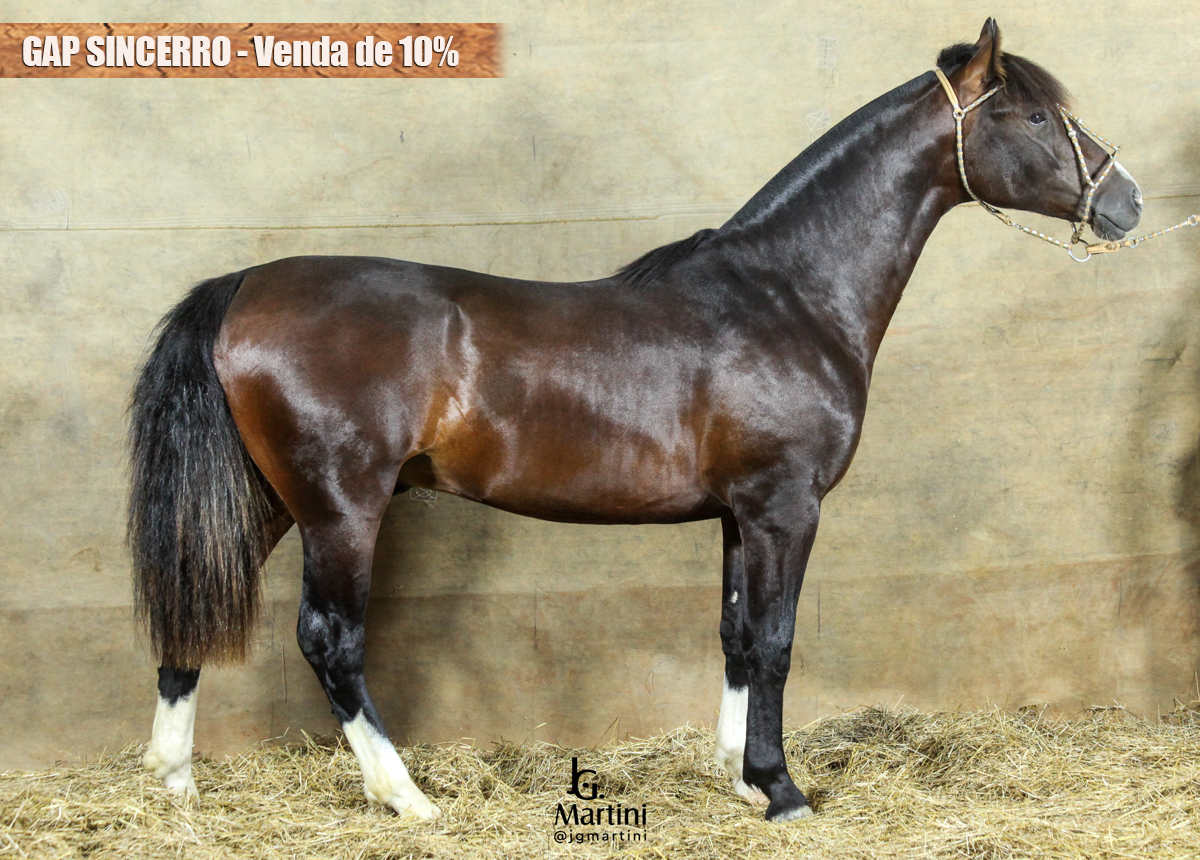 GAP SINCERRO - Cota de 10%