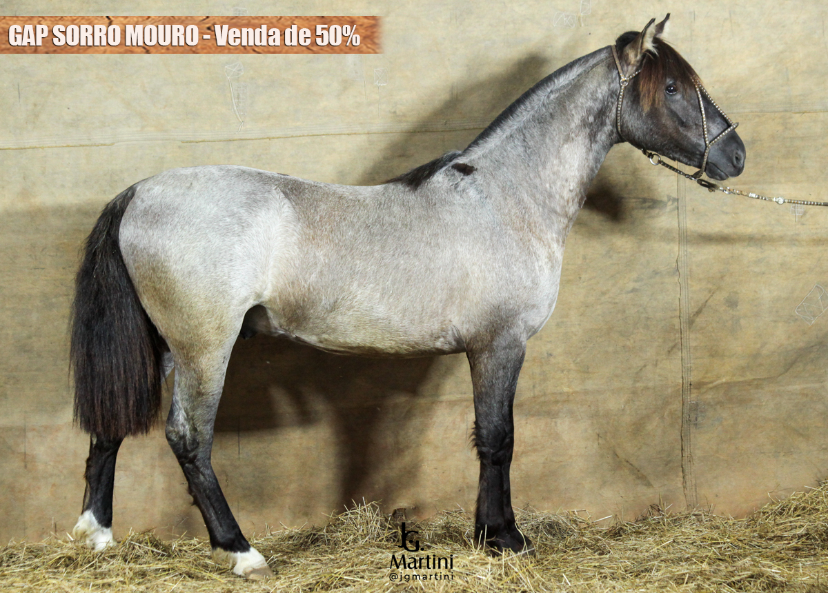 GAP SORRO MOURO - Cota de 50%
