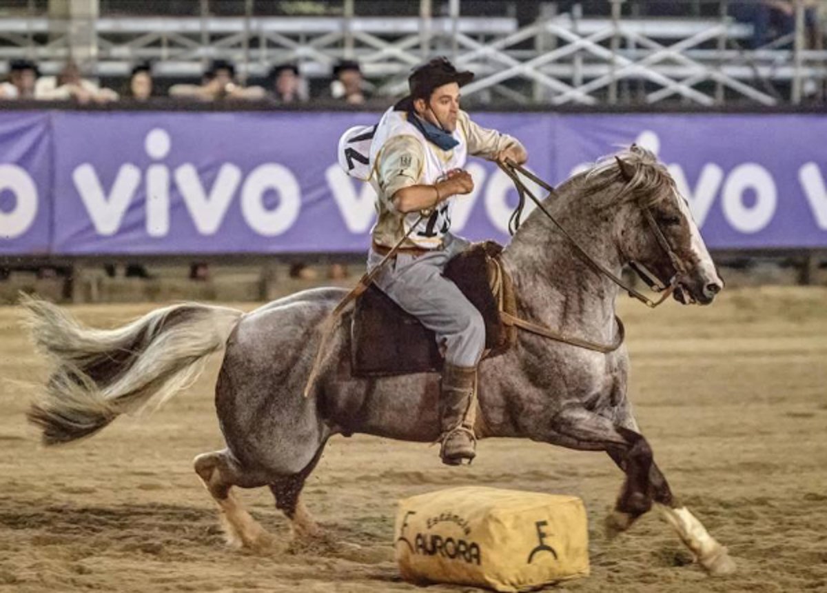 QUINCHERO DE SANTA ANGÉLICA