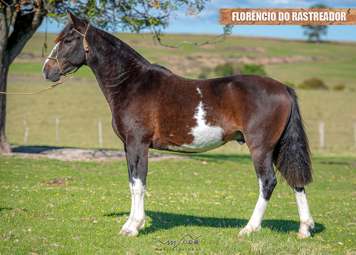 FLORÊNCIO DO RASTREADOR