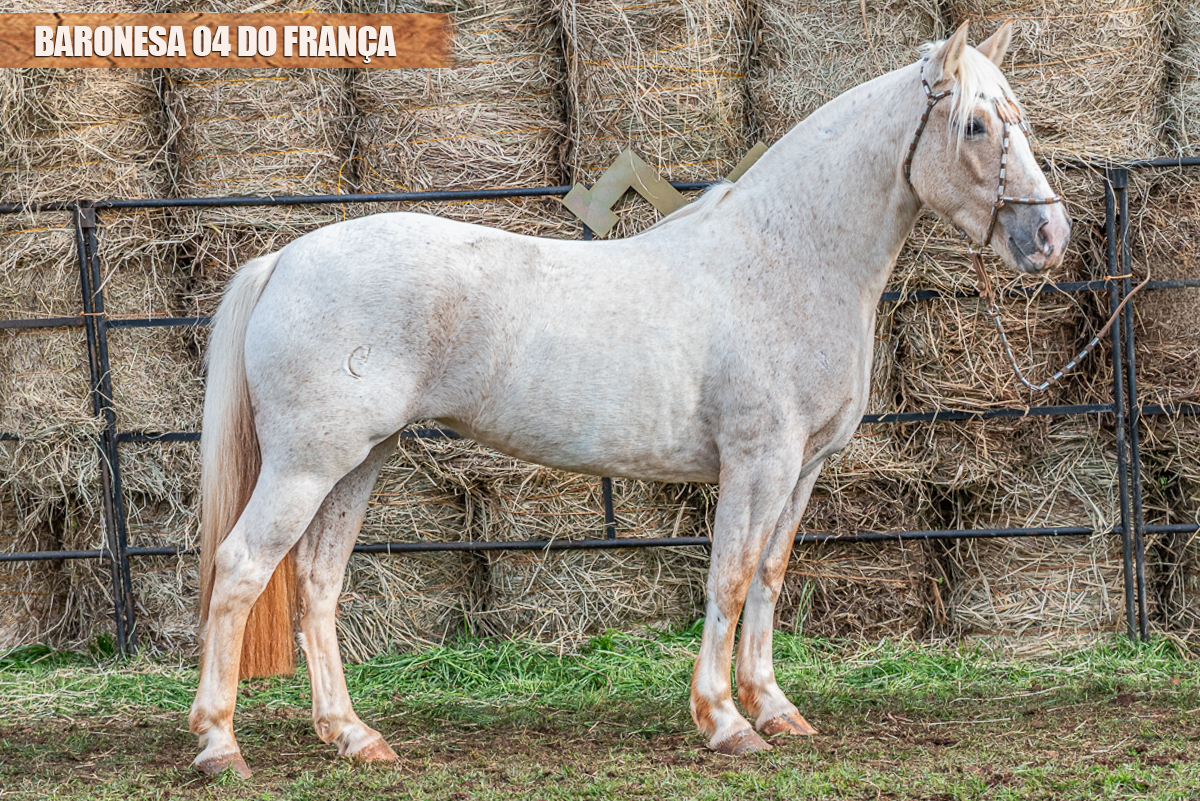 BARONESA 04 DO FRANÇA
