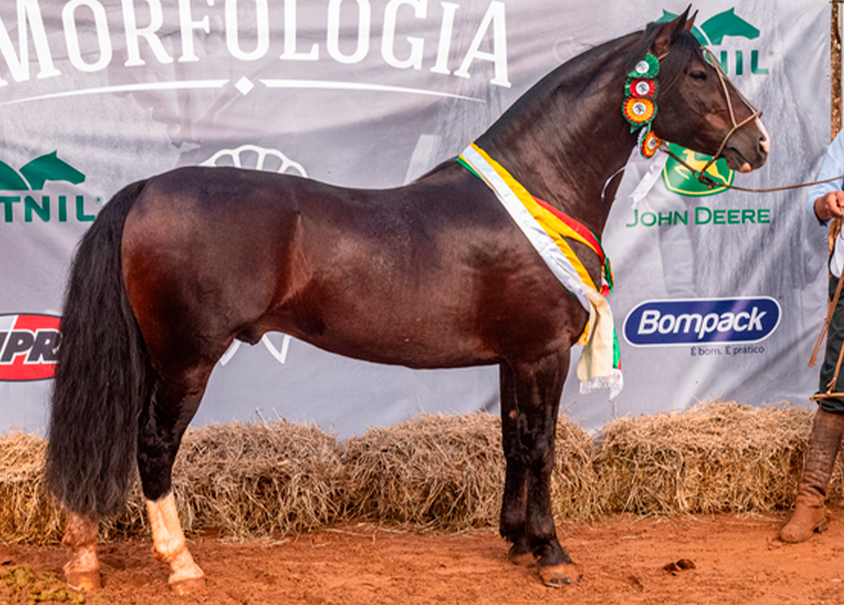 TR VENENO