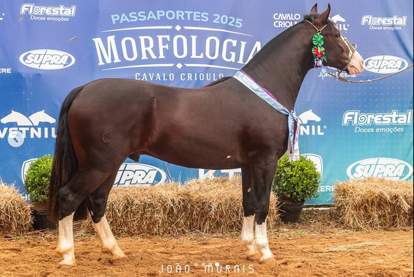 ORFEU 105 NOMBRADO