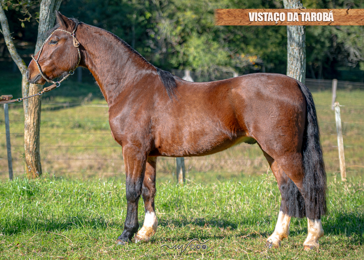 VISTAÇO DA TAROBÁ