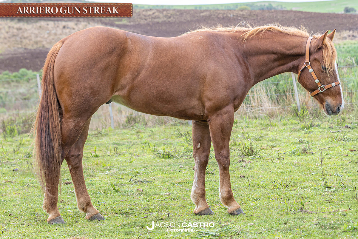 ARRIERO GUN STREAK - P387701