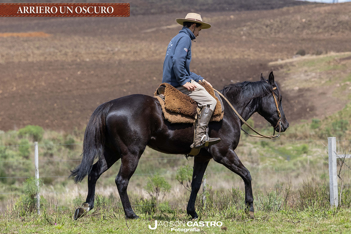 ARRIERO UN OSCURO - M295100