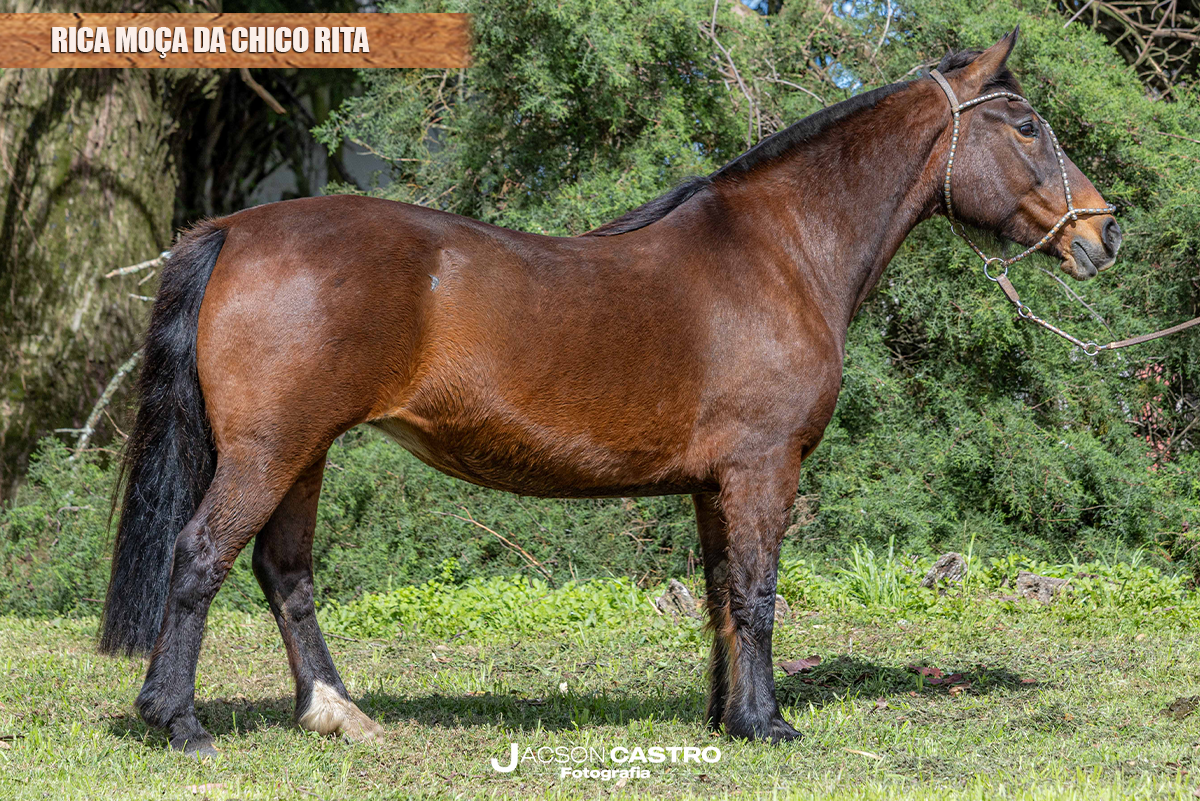 RICA MOÇA DA CHICO RITA