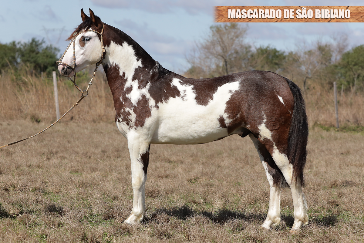 MASCARADO DE SÃO BIBIANO