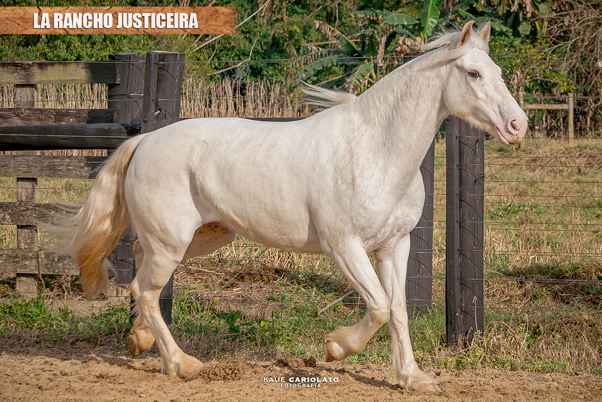 LA RANCHO JUSTICEIRA