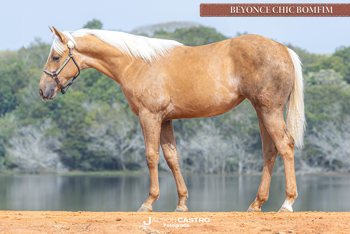 BEYONCE CHIC BOMFIM - P436835