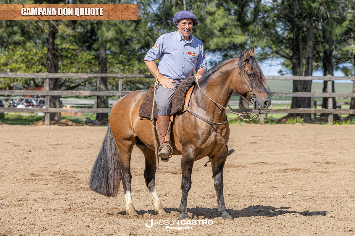 CAMPANA DON QUIJOTE
