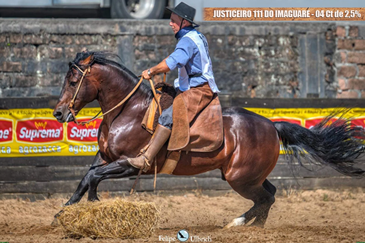JUSTICEIRO 111 DO IMAGUARE - 04 Ct de 2,5%