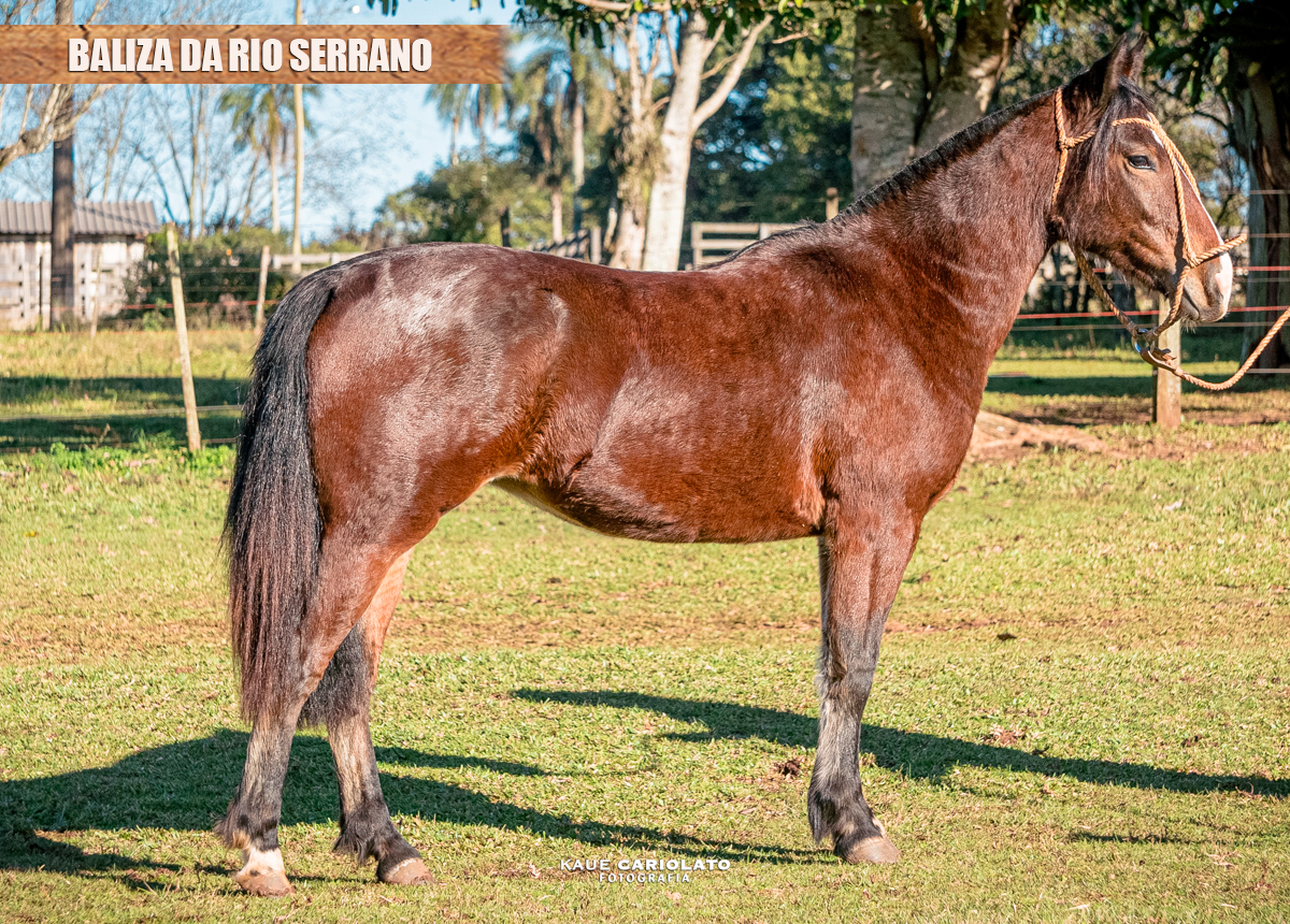 BALIZA DA RIO SERRANO