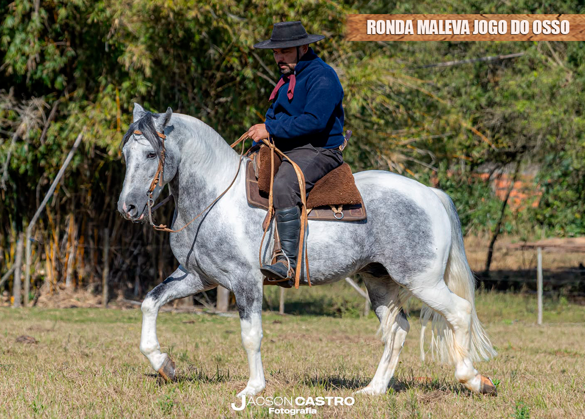 RONDA MALEVA JOGO DO OSSO                                         