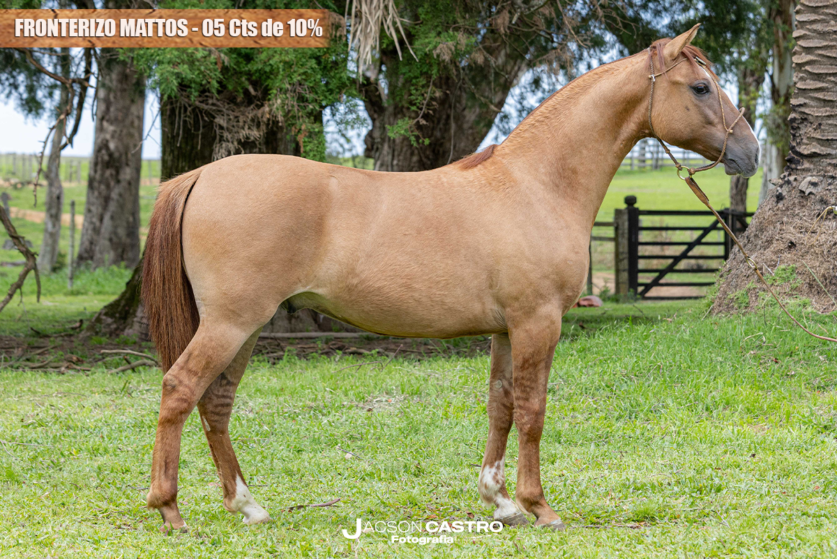FRONTERIZO MATTOS - 05 Cts de 10%