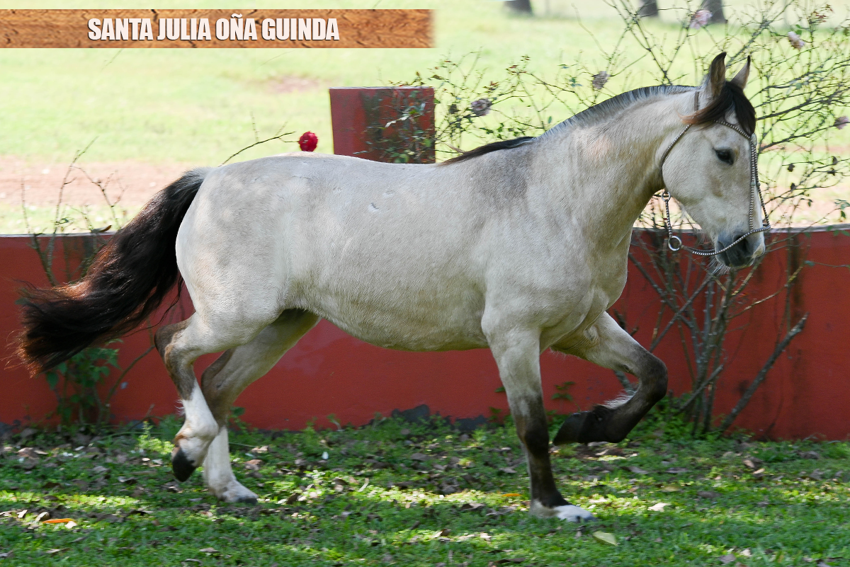SANTA JULIA OÑA GUINDA