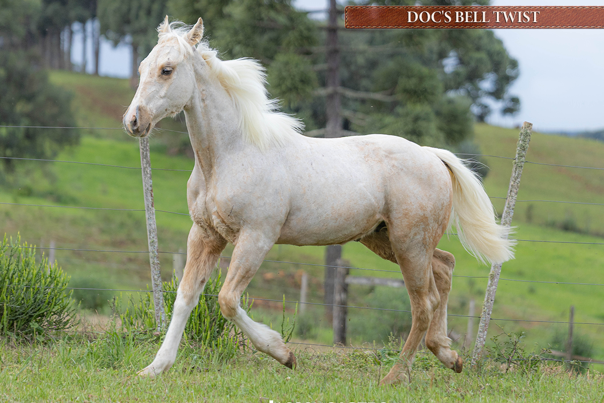 DOC'S BELL TWIST - RP1293732