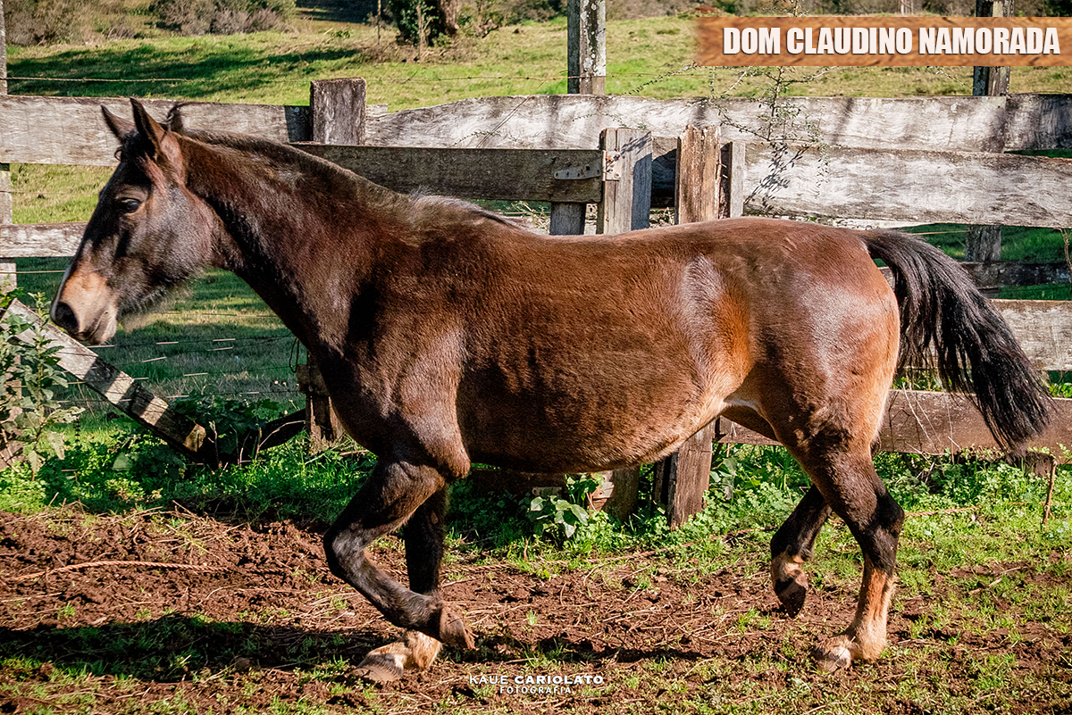 DOM CLAUDINO NAMORADA