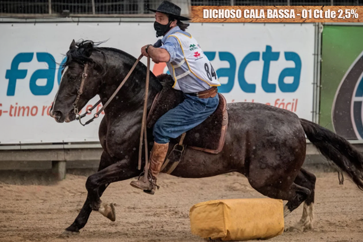 DICHOSO CALA BASSA - 01 Ct de 2,5%