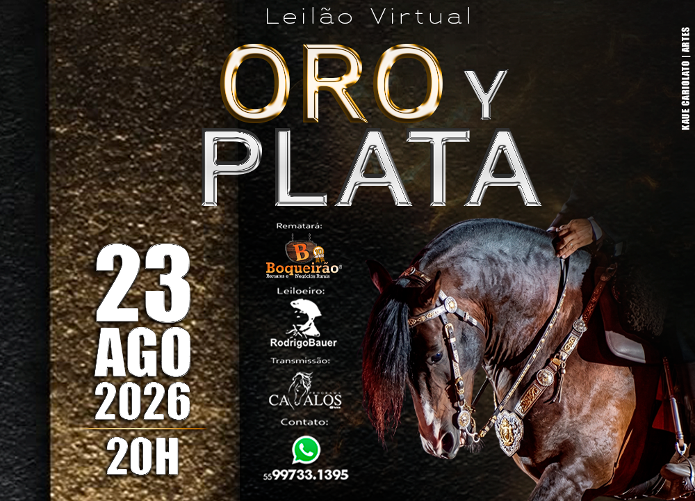 Logo do lote