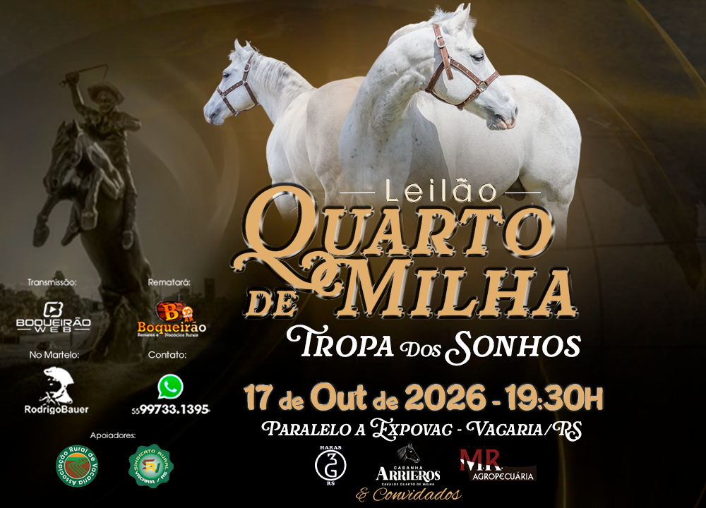 Logo do lote