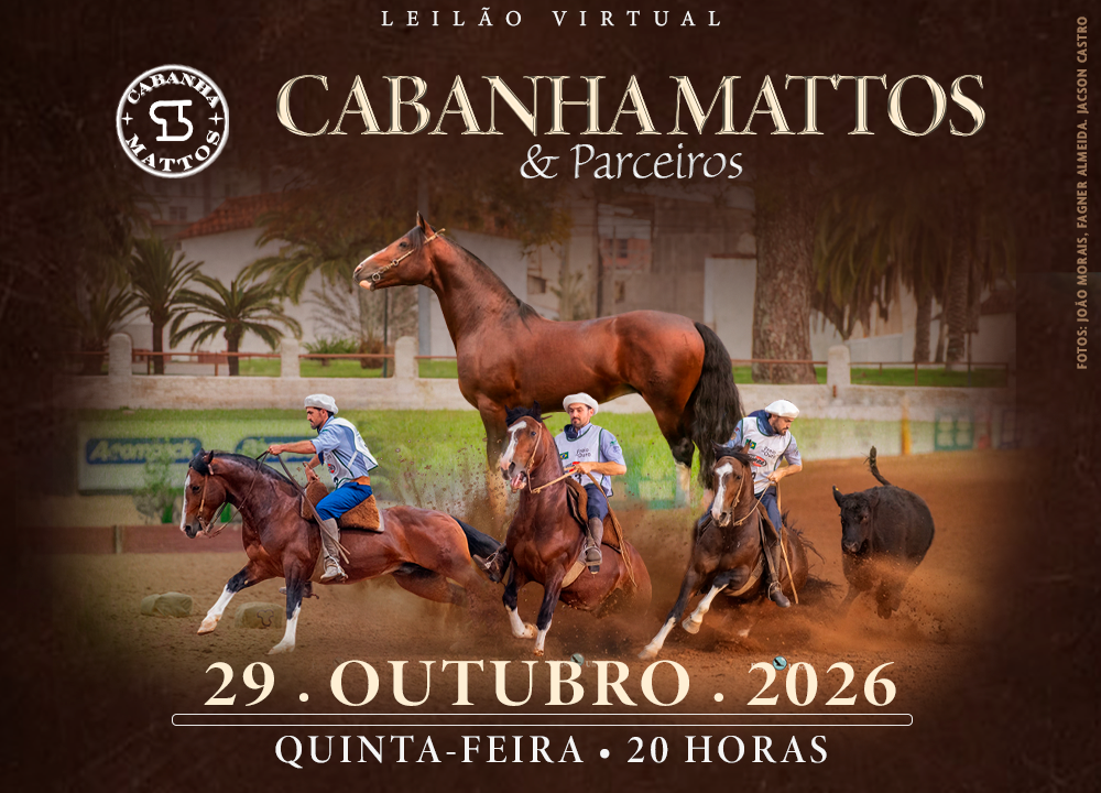 Banner do evento