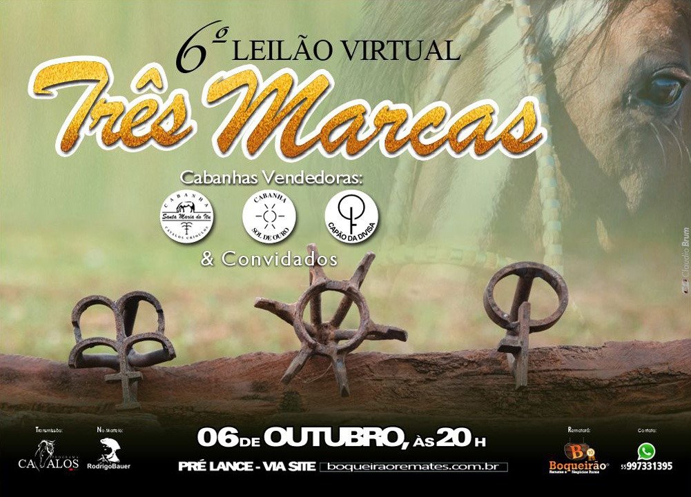 Logo do lote