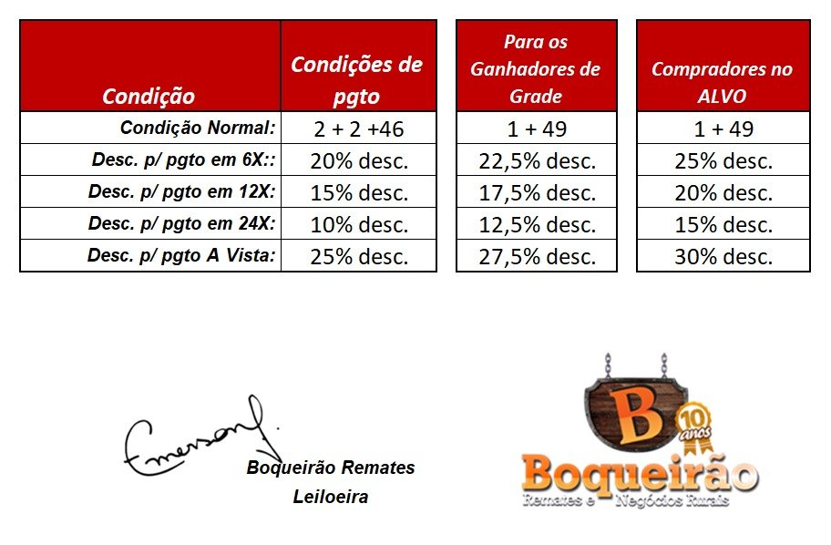 Imagem do Regulamento