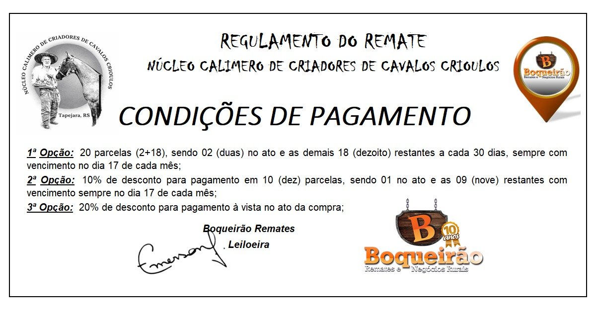 Imagem do Regulamento